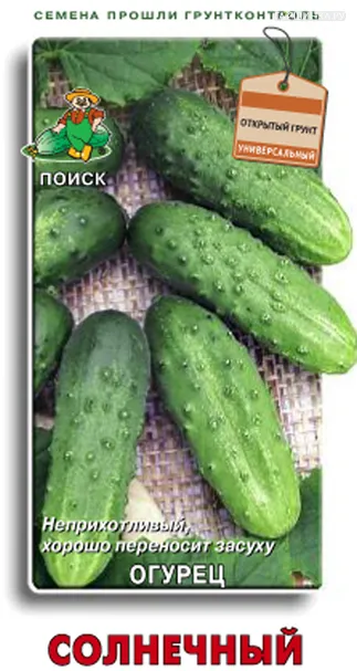 Огурец Солнечный 15, Поиск