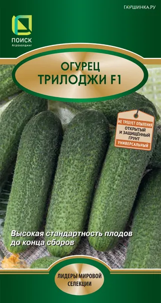 Огурец Трилоджи F1 10, Поиск