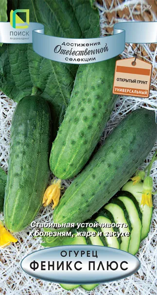 Огурец Феникс Плюс 15, Поиск