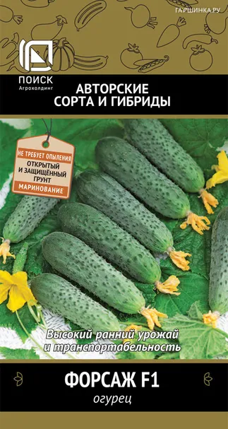 Огурец Форсаж F1 (А) 12, Поиск