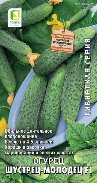 Огурец Шустрец-молодец F1 (А) 12, Поиск