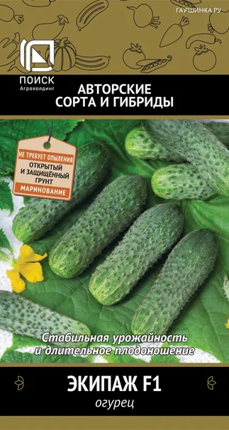 Огурец Экипаж F1 (А) 12, Поиск