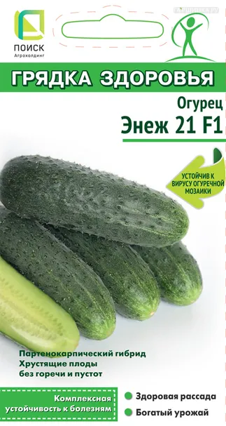 Огурец Энеж 21 F1 (А) 12, Поиск