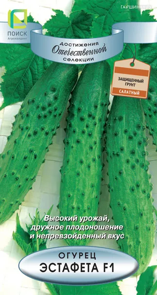 Огурец Эстафета F1 12, Поиск