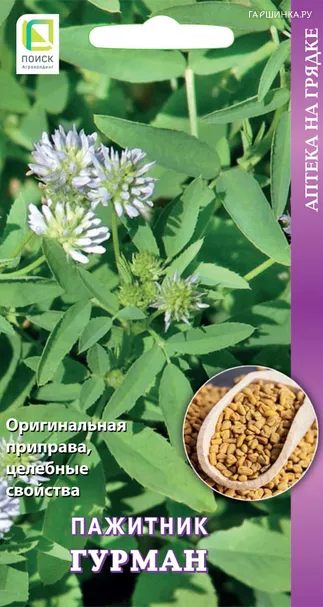 Пажитник Гурман 20 шт, Семена Поиск