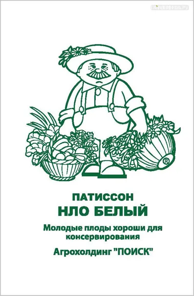 Патиссон НЛО белый 12, Поиск