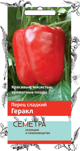 Перец сладкий Геракл (А) 0,25, Поиск
