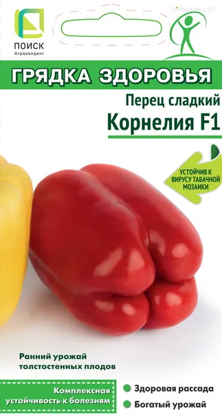 Перец сладкий Корнелия F1 (А) 12, Поиск