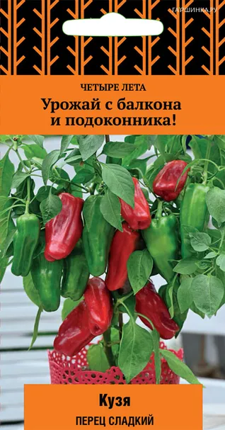 Перец сладкий Кузя (А) 5, Поиск