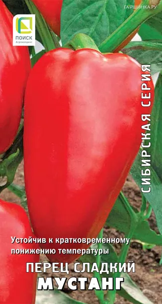 Перец сладкий Мустанг 0,25, Поиск