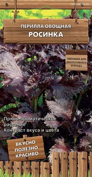 Перилла Росинка овощная 0,02 г, Семена Поиск