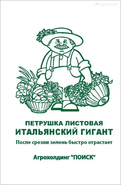 Петрушка Итальянский гигант 3, Семена Поиск