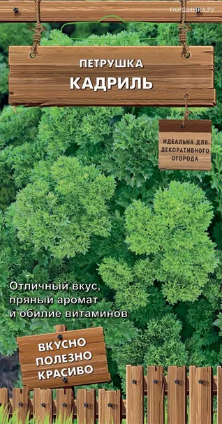 Петрушка Кадриль 2 г, Семена Поиск