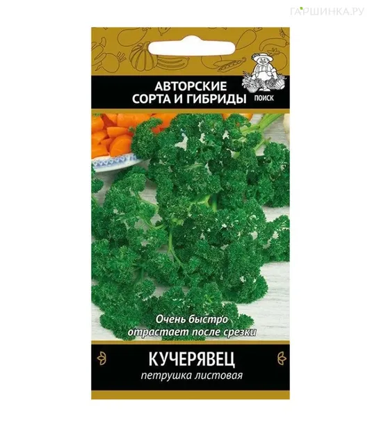 Петрушка Кучерявец 3 г, Семена Поиск