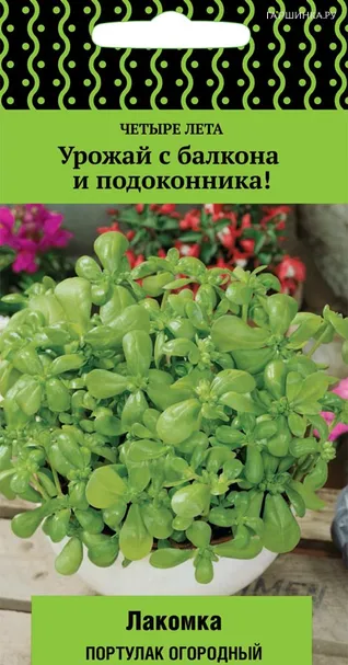 Портулак Лакомка огородный 20 шт, Семена Поиск