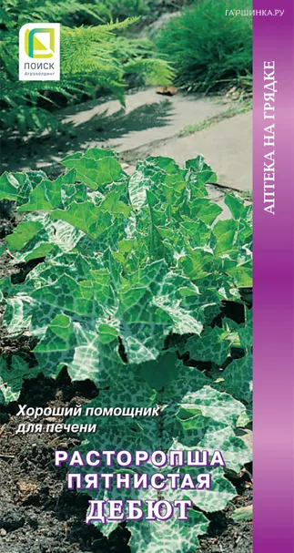 Расторопша Дебют пятнистая 0,5 г, Семена Поиск