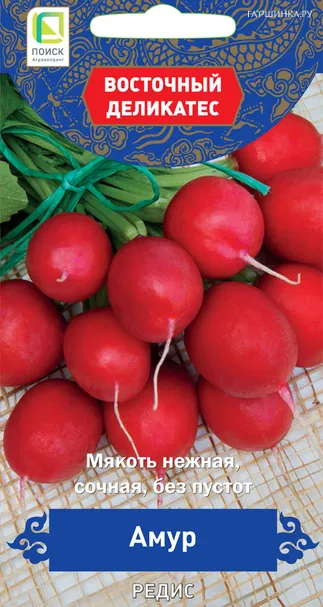 Редис Амур (А) 3, Поиск