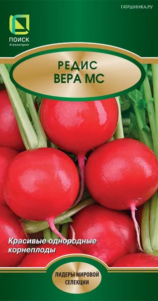 Редис Вера МС 3, Поиск