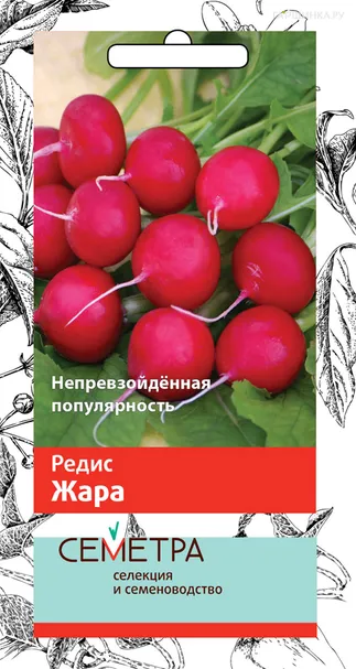 Редис Жара 3, Поиск