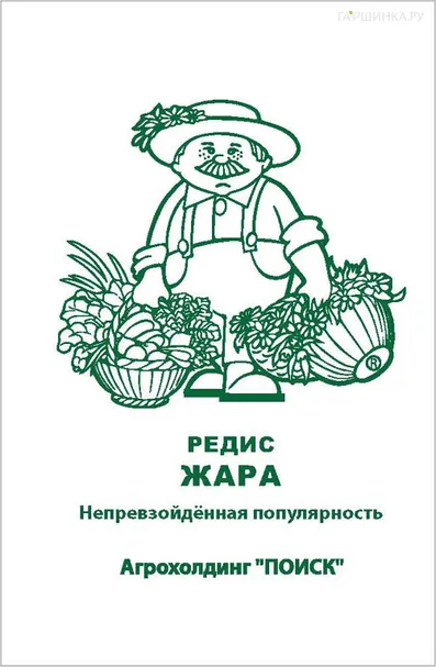Редис Жара 3, Поиск