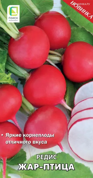 Редис Жар-птица (А) 3, Поиск