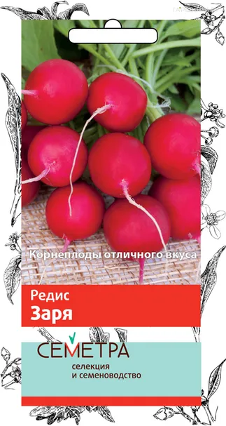 Редис Заря (А) 3, Поиск
