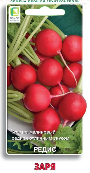 Редис Заря (А) 3, Поиск