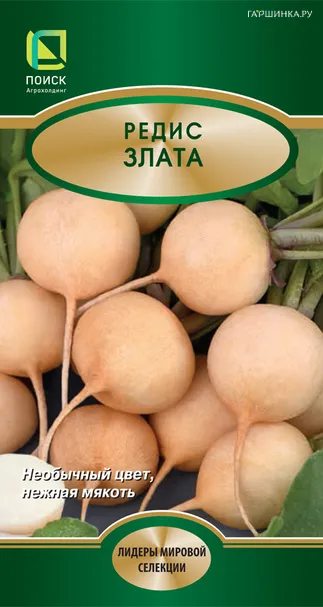 Редис Злата 3, Поиск