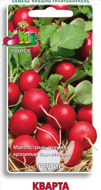 Редис Кварта 3, Поиск