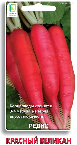 Редис Красный великан 3, Поиск