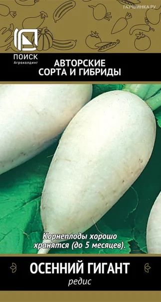 Редис Осенний гигант (А) 3, Поиск