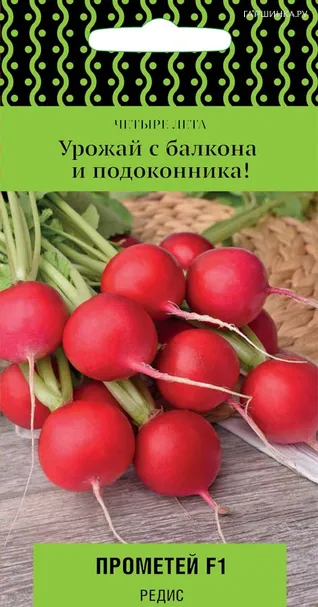 Редис Прометей F1 (А) 1, Поиск