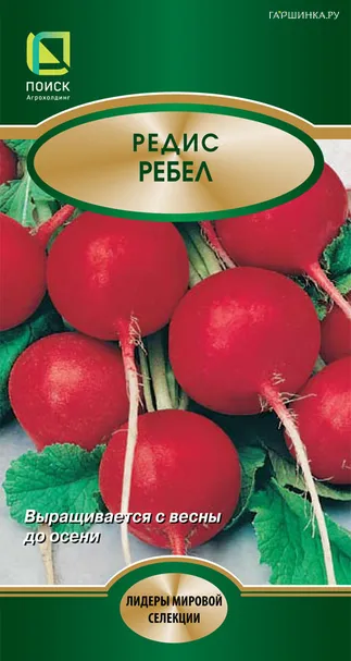 Редис Ребел 2, Поиск
