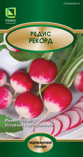 Редис Рекорд (А) 3, Поиск