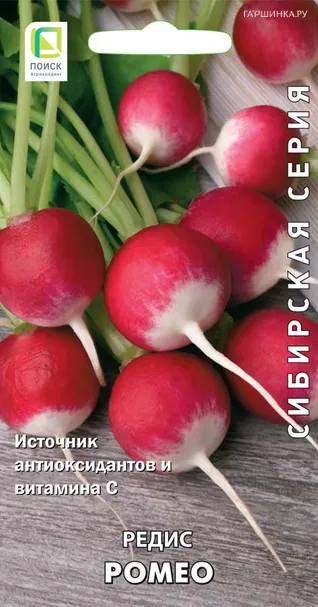 Редис Ромео (А) 3, Поиск