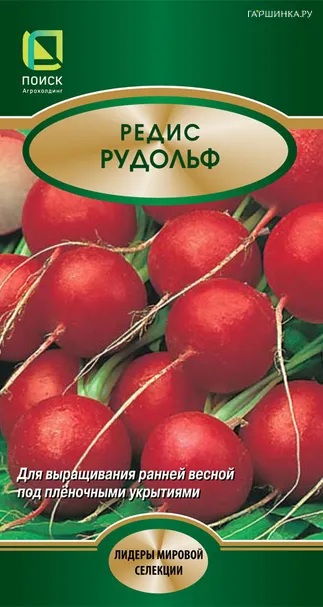 Редис Рудольф 2, Поиск