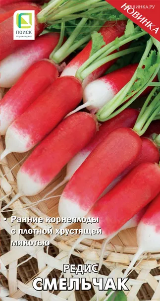 Редис Смельчак (А) 3, Поиск