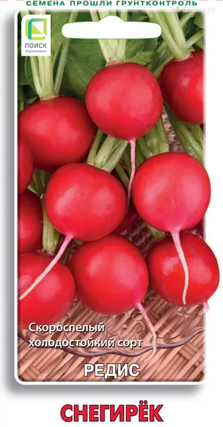 Редис Снегирек 3, Поиск