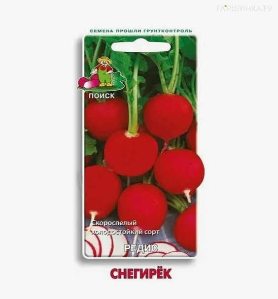 Редис Снегирек 3, Поиск