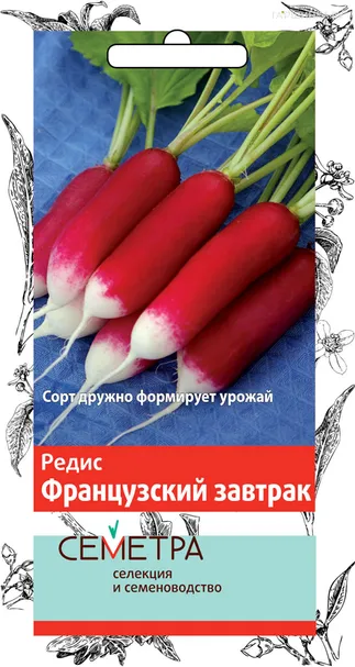 Редис Французский завтрак 3, Поиск