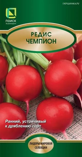 Редис Чемпион 3, Поиск
