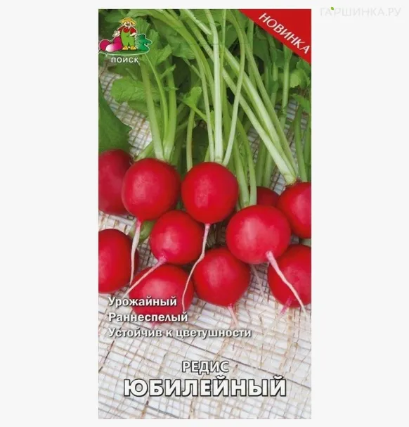 Редис Юбилейный (А) 3, Поиск