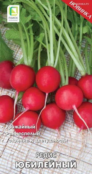 Редис Юбилейный (А) 3, Поиск