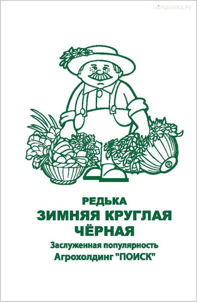 Редька Зимняя круглая черная 1, Поиск