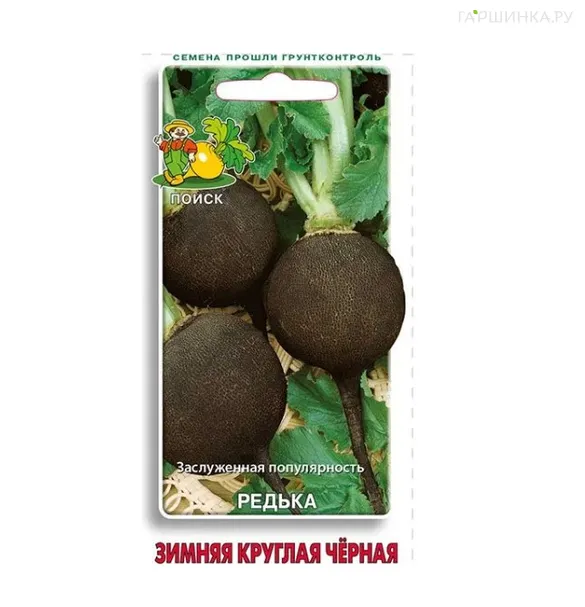 Редька Зимняя круглая черная 2 г, Поиск