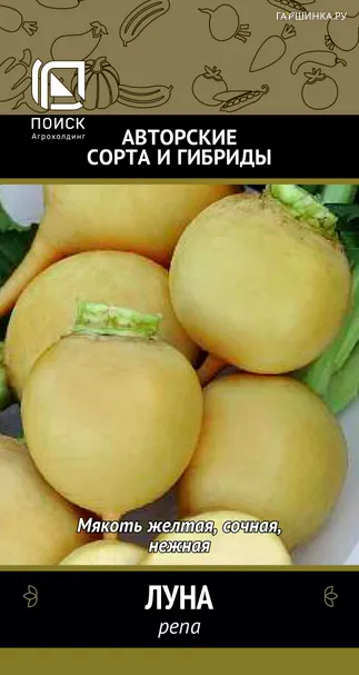 Репа Луна (А) 1, Поиск