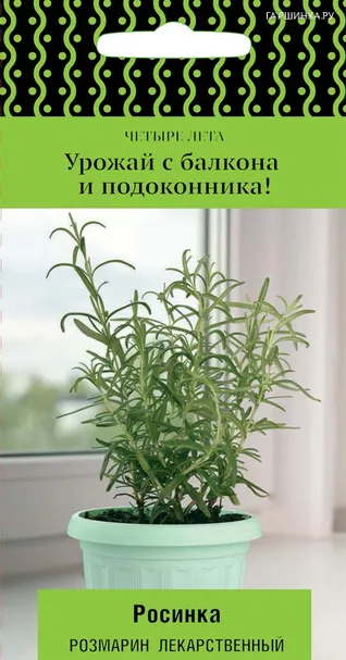 Розмарин Росинка (А) лекарственный 10, Семена Поиск