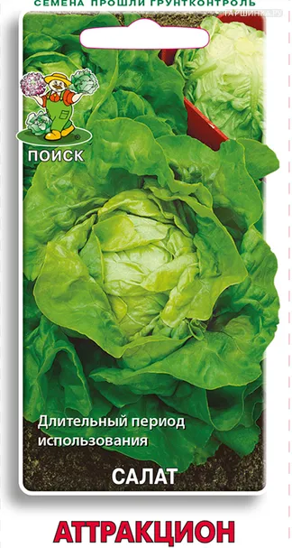 Салат Аттракцион 1, Поиск