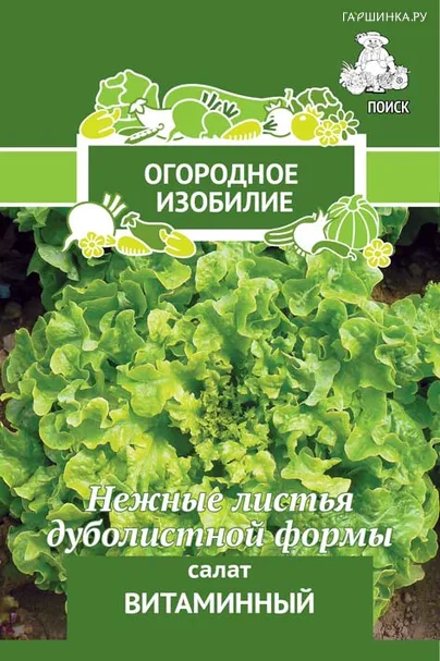 Салат Витаминный (сер. Огородное изобилие) 1 г, Семена Поиск
