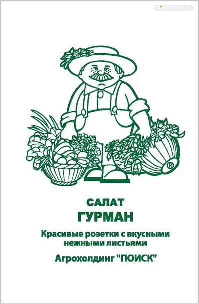 Салат Гурман 1, Поиск